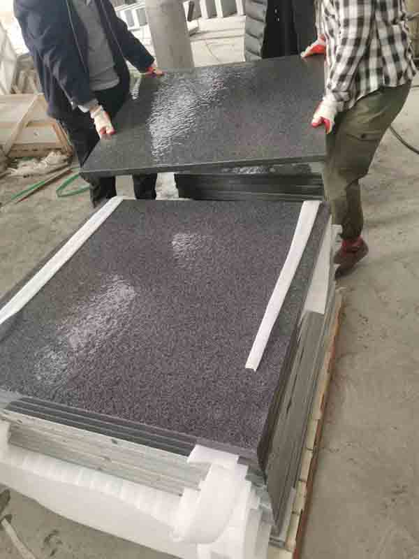 paver01
